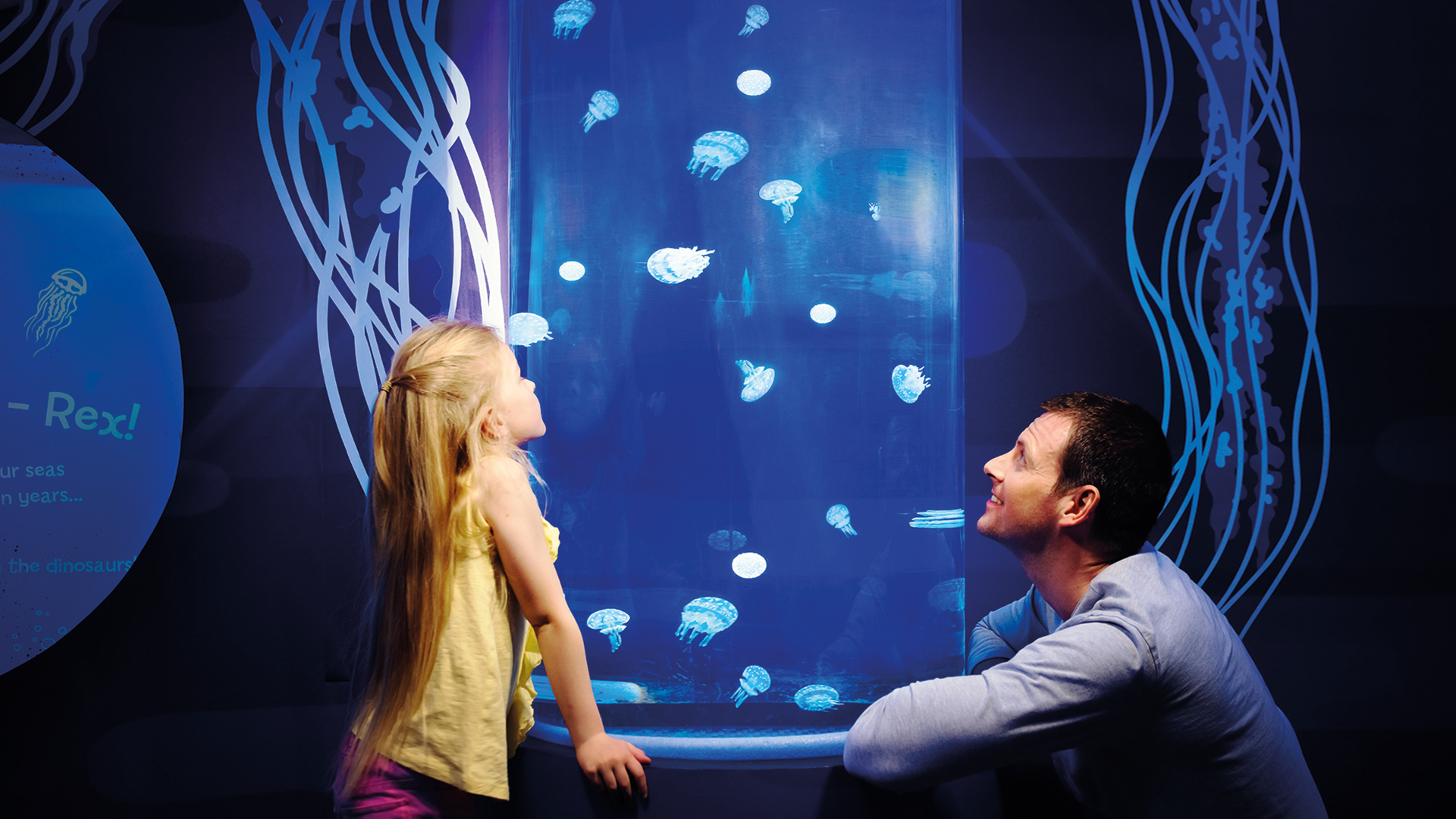 Dad and child learning about jellyfish
