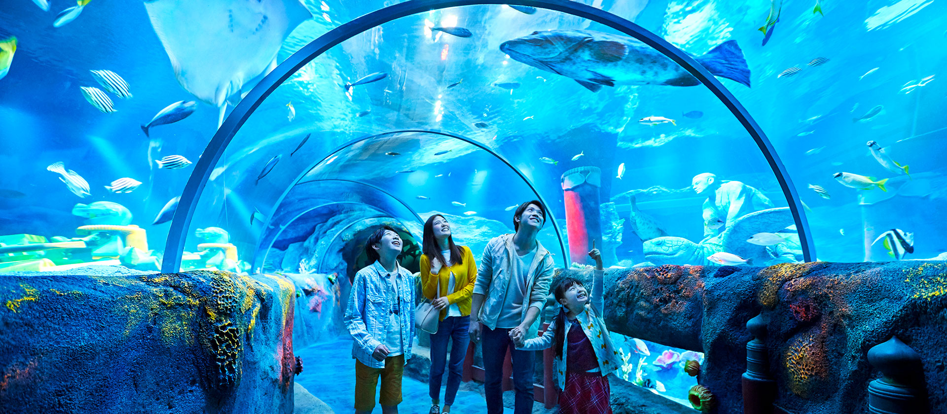 Explore the aquarium