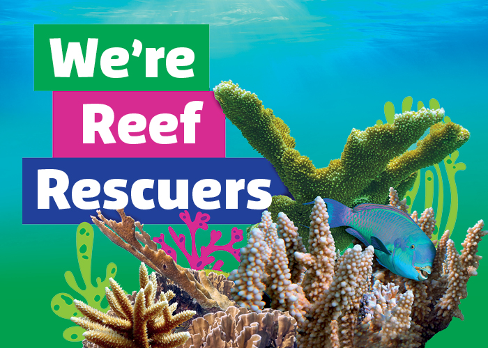 SLT Were Reef Rescuers 700X500[5]