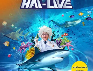 Hai Live (3)
