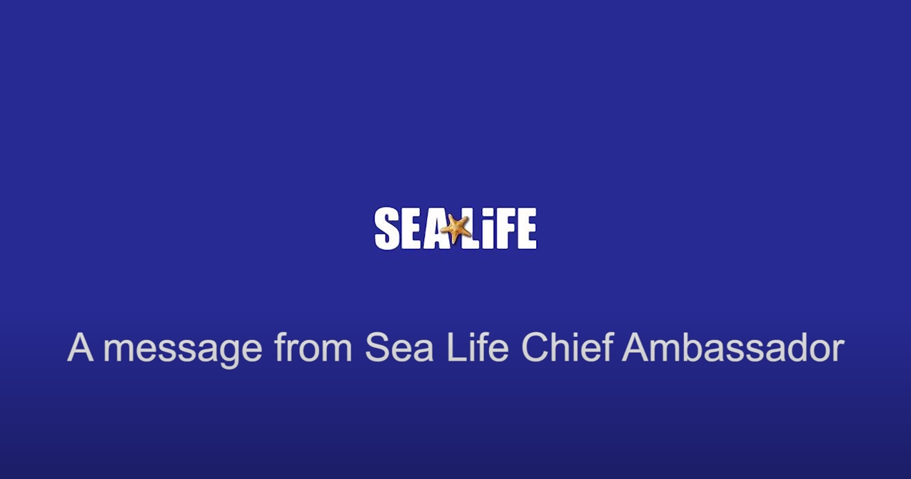 A message from SEA LIFE ambassador