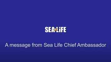 A message from SEA LIFE ambassador